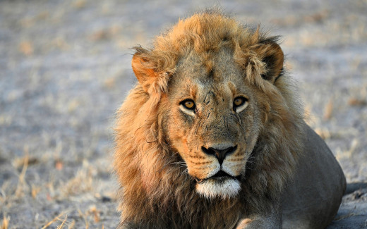 1754871 (a): :1920x1200